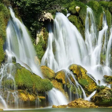 公寓 Star Danica***