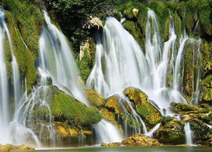 Appartamento Star Danica***